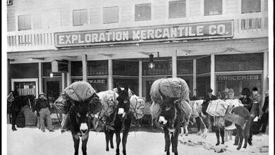 Goldfield, Nevada, 1900