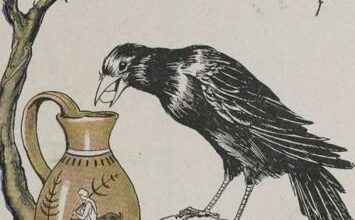 The Crow And The Pitcher