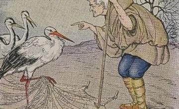 The Farmer And The Stork