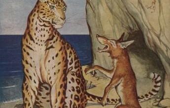 The Fox And The Leopard