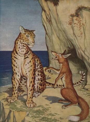 The Fox And The Leopard