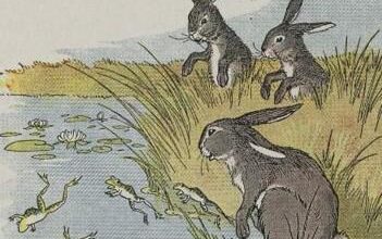 The Hares And The Frogs