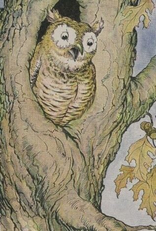 The Owl And The Grasshopper