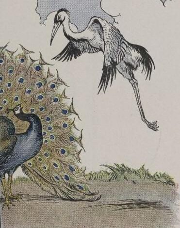 The Peacock And The Crane