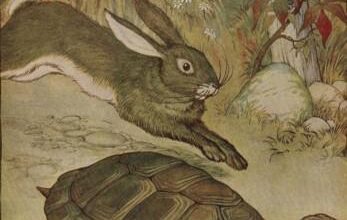 The Tortoise And The Hare