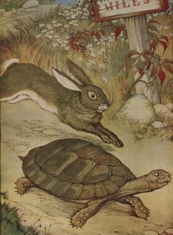 The Tortoise And The Hare