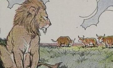 Three Bullocks And A Lion