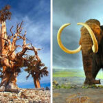 9 Connected Historical Facts That Will Mess With Your Head