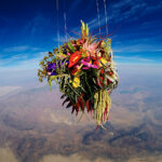 6 Impressive Projects That Turn Botany Into Art