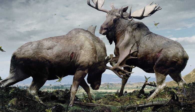 Apocalyptic Animal Kingdom Of Simen Johan