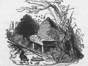 Beehive drawing, 1851