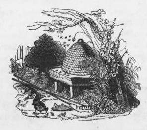 Beehive drawing, 1851