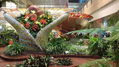 Changi International Airport, Singapore