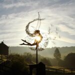 Dancing with Dandelions