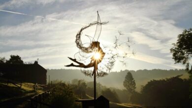 Dancing with Dandelions