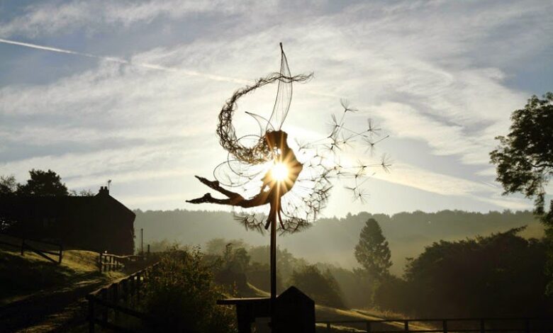 Dancing with Dandelions