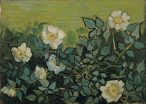 Wild Roses, Vincent van Gogh