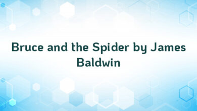 Bruce and the Spider by James Baldwin