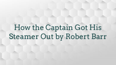 How the Captain Got His Steamer Out by Robert Barr