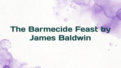 The Barmecide Feast by James Baldwin