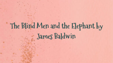 The Blind Men and the Elephant by James Baldwin