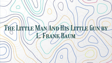 The Little Man And His Little Gun by L. Frank Baum