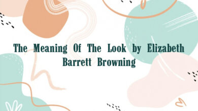 The Meaning Of The Look by Elizabeth Barrett Browning