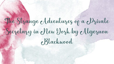 The Strange Adventures of a Private Secretary in New York by Algernon Blackwood