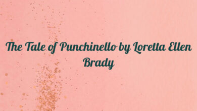 The Tale of Punchinello by Loretta Ellen Brady