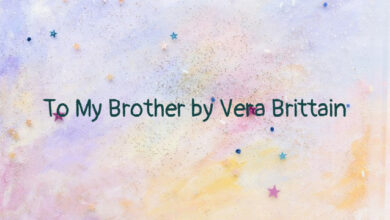 To My Brother by Vera Brittain