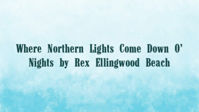 Where Northern Lights Come Down O’ Nights by Rex Ellingwood Beach