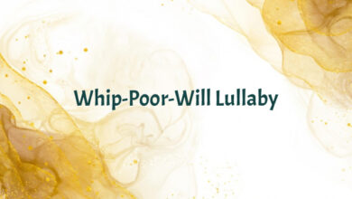 Whip-Poor-Will Lullaby