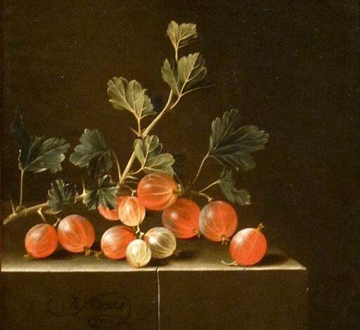 Adriaen Coorte, Gooseberries on a Table, 1701