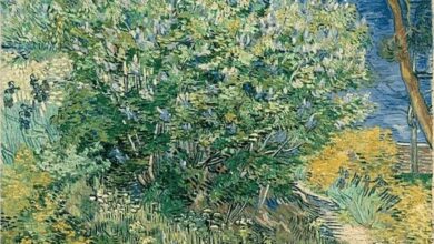 Vincent van Gogh, Lilac Bush, 1889