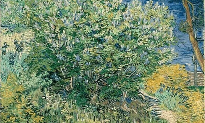 Vincent van Gogh, Lilac Bush, 1889