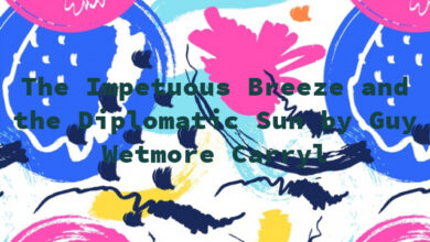 The Impetuous Breeze and the Diplomatic Sun by Guy Wetmore Carryl