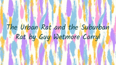 The Urban Rat and the Suburban Rat by Guy Wetmore Carryl