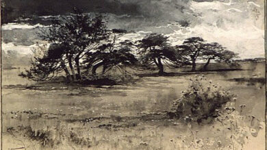 Harry Fenn, Thorn-trees near Niagara, 1887