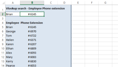 How to use the VLOOKUP Function in Excel