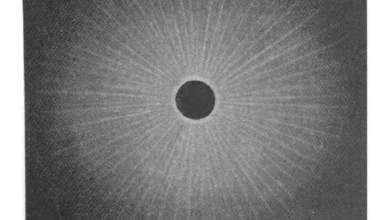 Mabel Loomis Todd, Total Eclipses of the Sun (Ferrer)