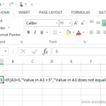 The Excel IF Function Explained