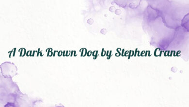 A Dark Brown Dog by Stephen Crane