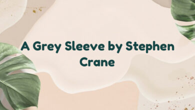 A Grey Sleeve by Stephen Crane