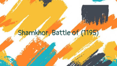 Shamkhor, Battle of (1195)