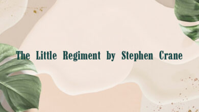 The Little Regiment by Stephen Crane