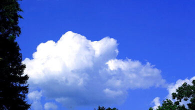 Kabir Bakie, Clouds Blue Sky, July 2004