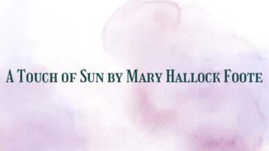 A Touch of Sun by Mary Hallock Foote