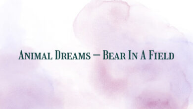 Animal Dreams – Bear In A Field