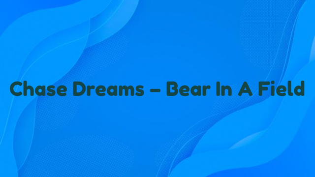 Chase Dreams – Bear In A Field