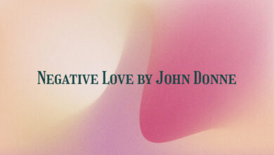 Negative Love by John Donne